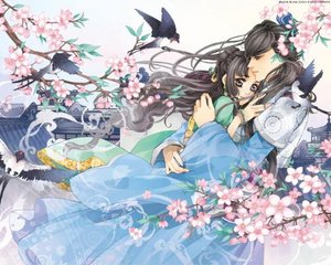 深入了解 精品稀缺资源